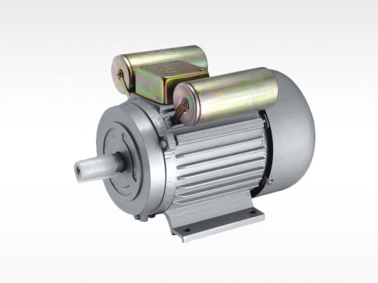 YL series two-value capacitor asynchronous motors